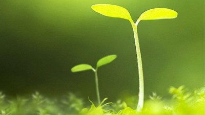 “人不負(fù)春春自負(fù)”