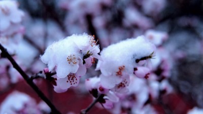 笑琰:2022年的春