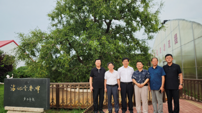 中國(guó)市場(chǎng)學(xué)會(huì)調(diào)研山東省沾化區(qū)冬棗產(chǎn)業(yè)基地及海產(chǎn)品市場(chǎng)