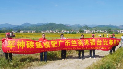 碳?xì)滟x農(nóng)顯成效 核肥助力廣東清遠(yuǎn)絲苗米豐收