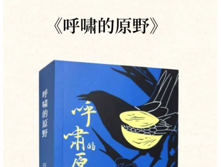 汪群《呼嘯的原野》入選中國 “首屆農(nóng)村題材文學(xué)作品推薦書目”