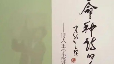 人間要真詩——評王學(xué)忠先生新作《說真話》與《詩人要說真話》