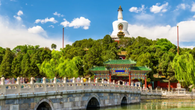 落葉尋根，人間有路