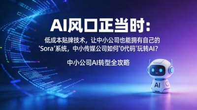 AI風(fēng)口正當(dāng)時(shí)：低成本貼牌技術(shù)，讓中小公司也能擁有自己的AI“Sora”系統(tǒng)
