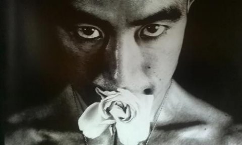 文學(xué)八卦之“低級腰封”和“高級炒作”