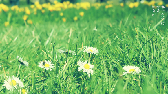 王雯|這世上,沒(méi)有東西可以抵消時(shí)間的牽引