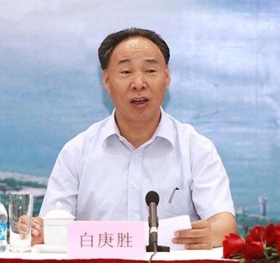 納西族的驕子-白庚勝