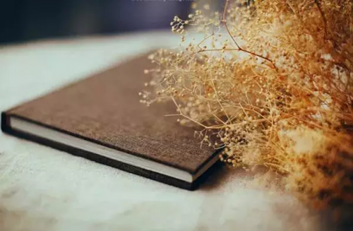 張燁詩(shī)歌的審美特征與透視