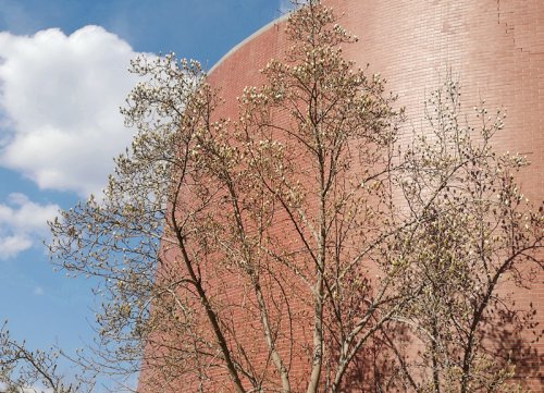 北京朗誦藝術團女詩人朗誦團走進北京十一學校