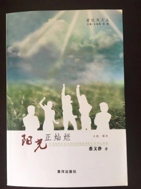 蔡文靜長篇小說《戲說銀行故事》、 影視劇本《陽光正燦爛》            研討座談會