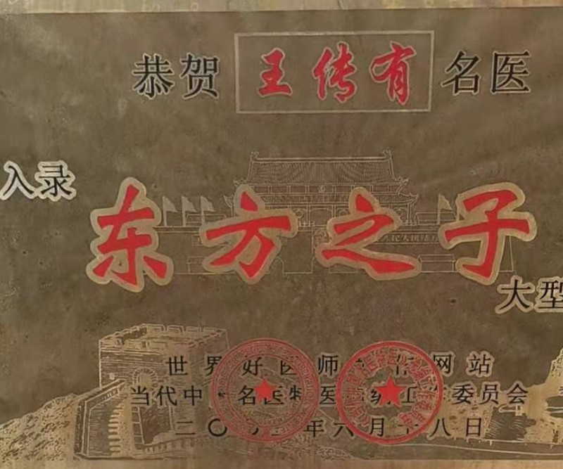  當(dāng)代名醫(yī)王傳友,御醫(yī)王天中醫(yī)傳人